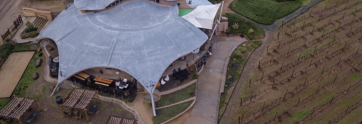 Alximia Vinícola – Innovation in Every Pour.