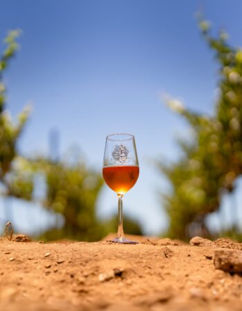 Casa Frida – Color, Culture & Celebration.