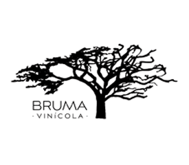 Bruma – A Destination of Wine, Art & Nature.