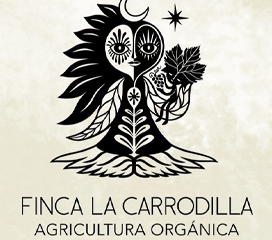 Finca la Carrodilla – Where Sustainability Meets the Vine.