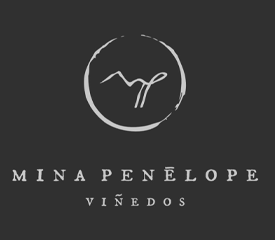 Mina Penelope – An Intimate Expression of Valle de Guadalupe.
