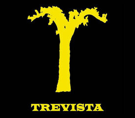 Vinícola Trevista – Family, Craft, and Authentic Wines.