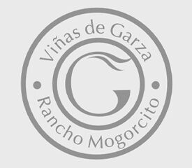 Viñas de Garza – Family, Passion, and Bold Wines.